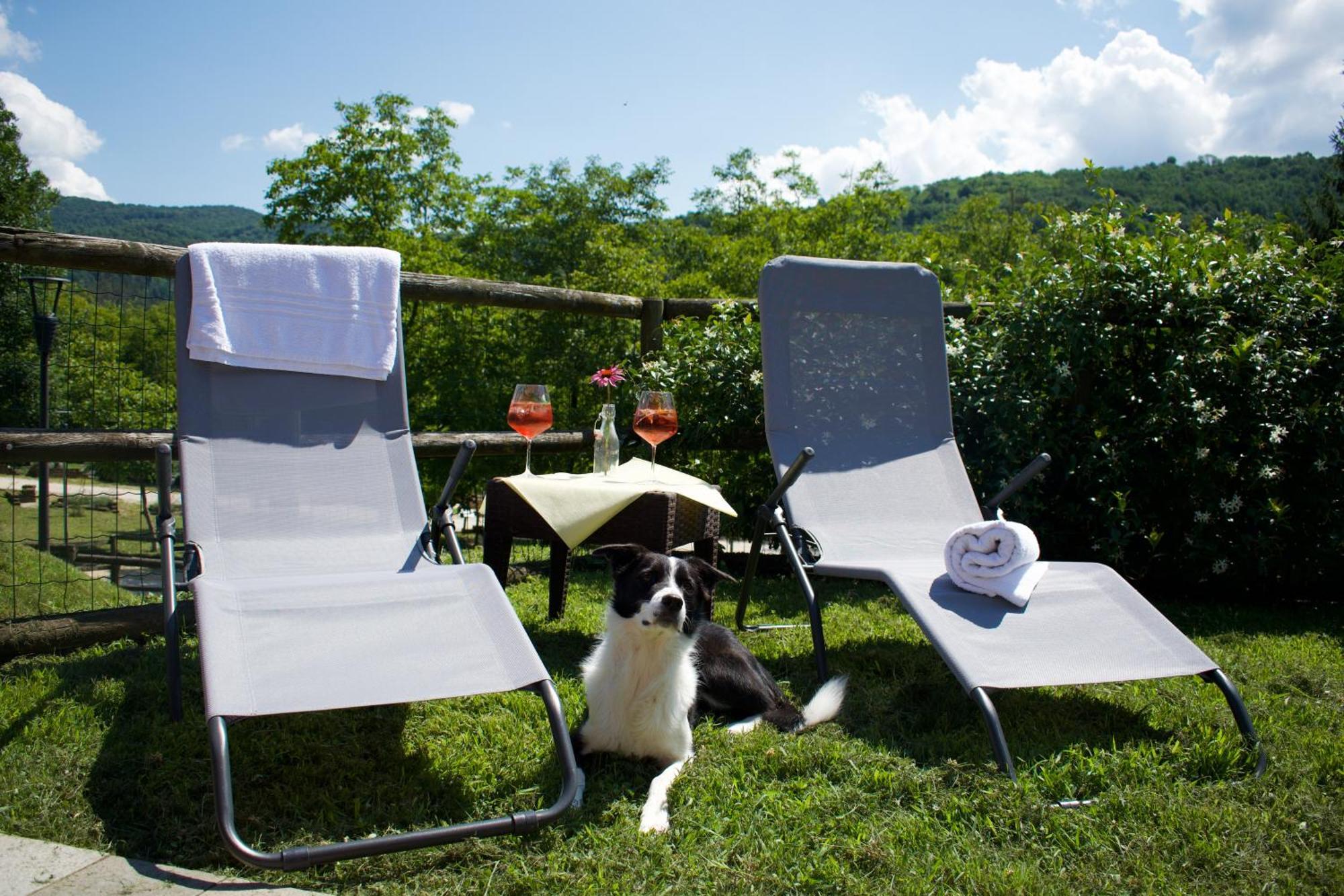 Agriturismo Monte Del Re San Pietro al Natisone ภายนอก รูปภาพ