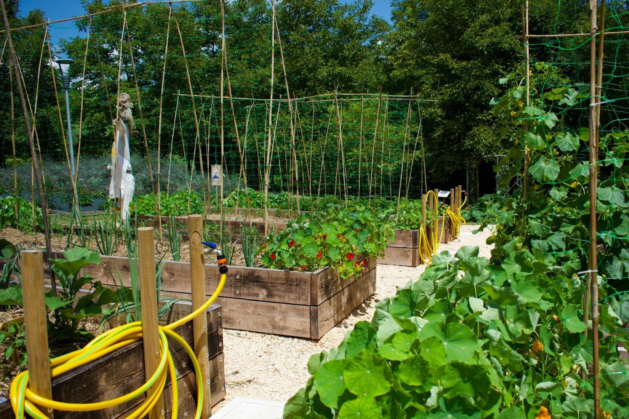 Agriturismo Monte Del Re San Pietro al Natisone ภายนอก รูปภาพ